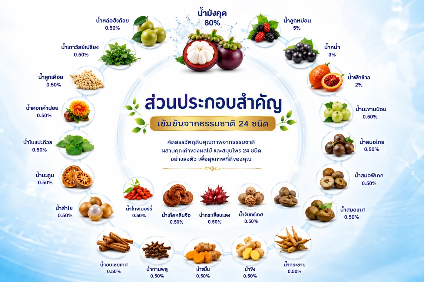 ส่วนประกอบสำคัญของน้ำมังคุดตราพนารินทร์ สูตรดั้งเดิม 24 ชนิด